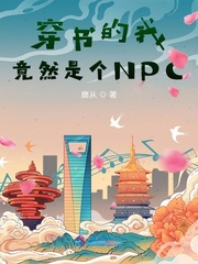 穿书的我竟然是个NPC