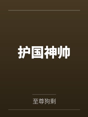 护国神帅